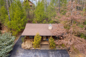 ER307- Eagle's View- Great location- Close to town cabin